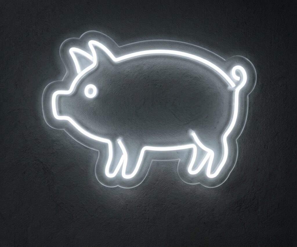 Domuz Led Neon